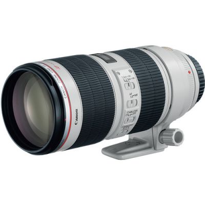 Canon EF 70-200mm f/2.8L IS II USM Telephoto Zoom Lens